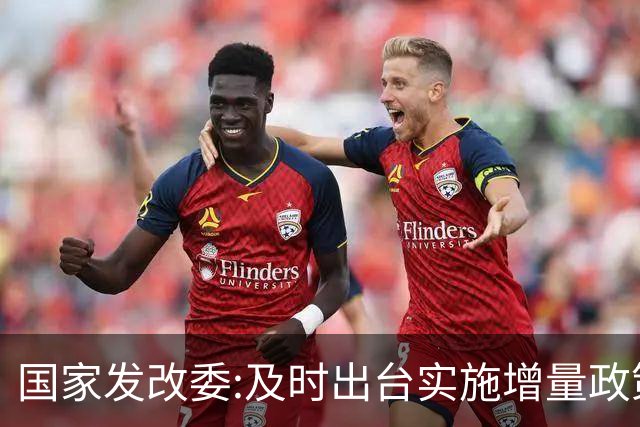 国家发改委:及时出台实施增量政策